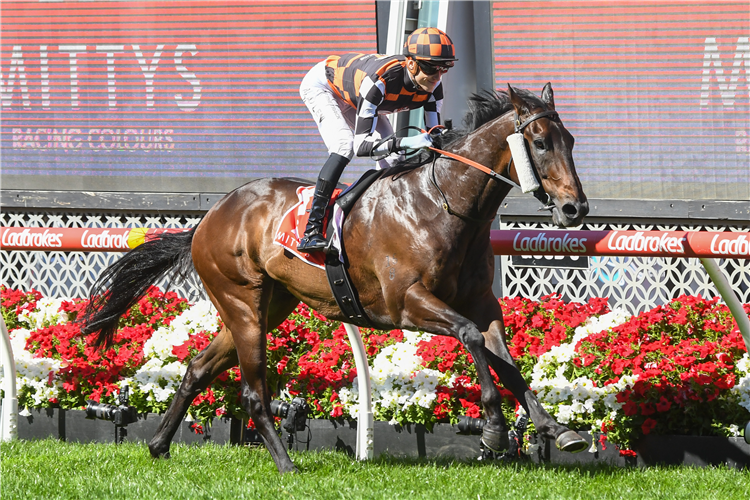 BARAQIEL winning the McEwen Stakes at Moonee Valley in Australia.