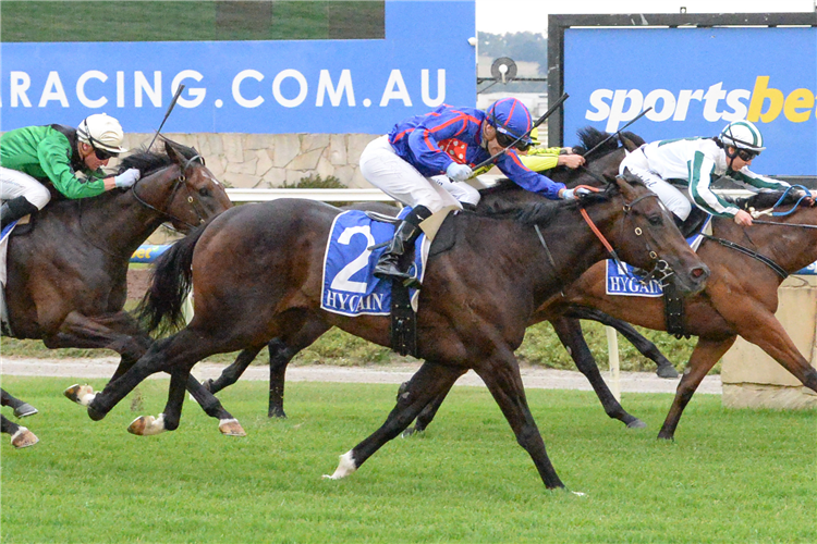 Barbaric Lad To Test His Spring Hopes   | Rsn