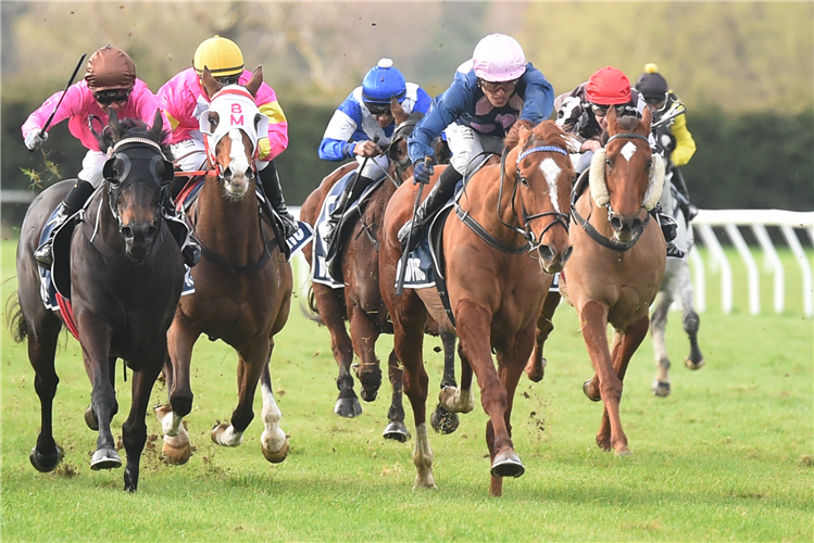 BATTLE SECRET winning the TARARUA ALLIANCE