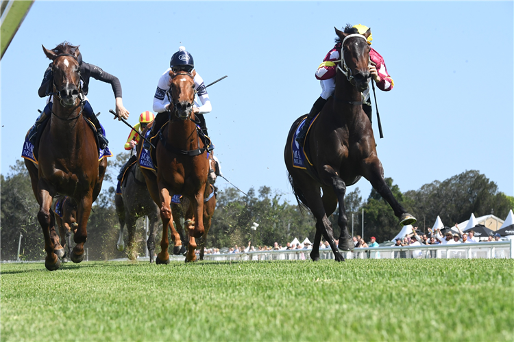 BAUHINIA winning the Magic Millions Wyong 3yo & 4yo Stakes at Wyong in Australia.