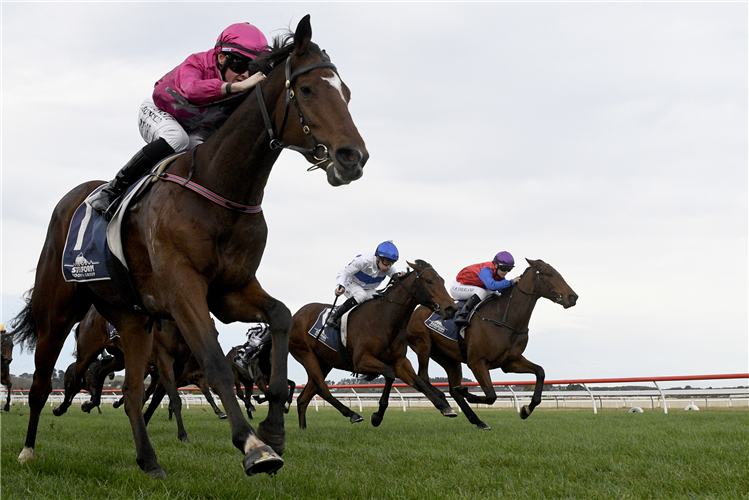 BELARDI winning the JOHN TURKINGTON FORESTRY LTD CASTLETOWN STAKES