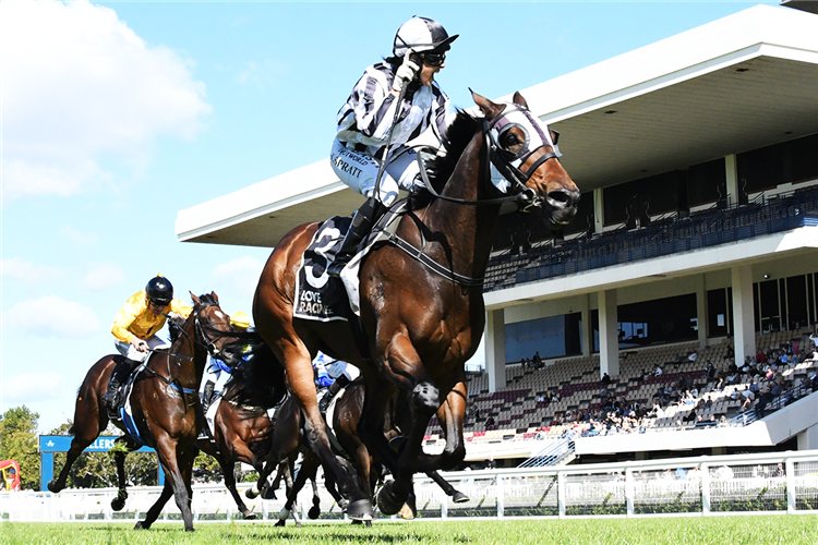 BELCLARE winning the NZEA NEW ZEALAND THOROUGHBRED BREEDERS' STAKES