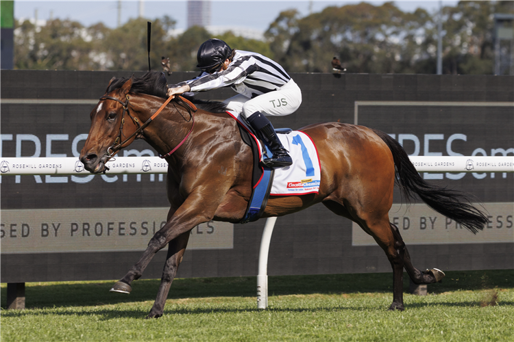 BELCLARE winning the Cincotta Chemist Hot Danish Stakes at Rosehill in Australia.