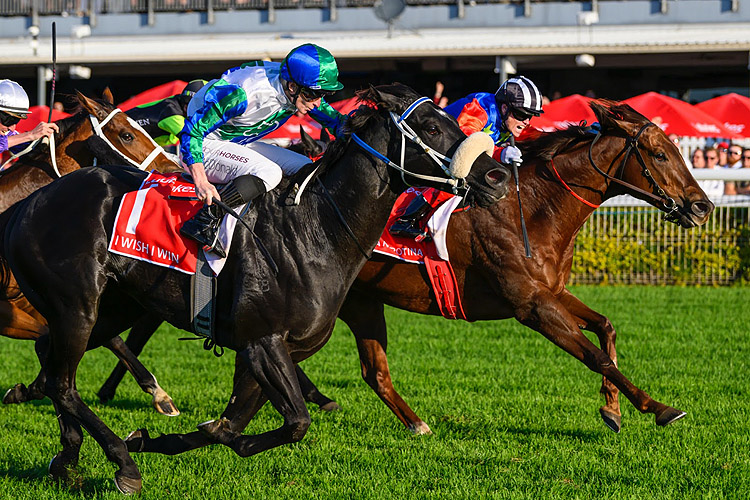 BELLA NIPOTINA winning the LADBROKES DOOMBEN 10,000