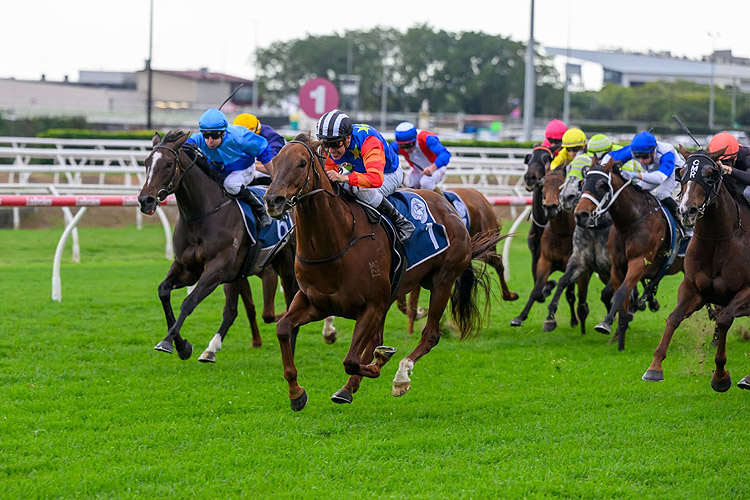 BELLA NIPOTINA winning the TATTERSALL'S TIARA