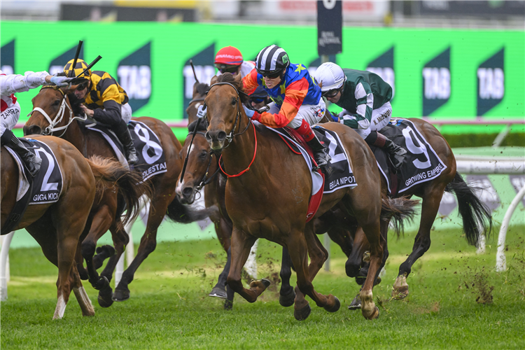 Bella Nipotina Wins Group 1 The Tab Everest Post Race Trainer And