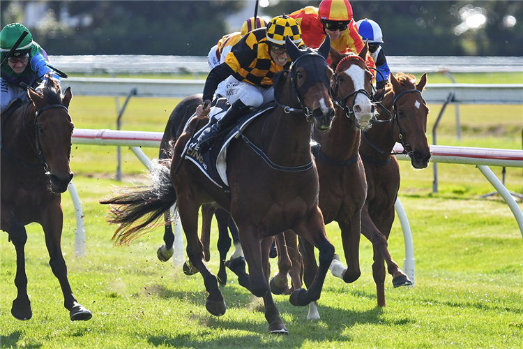 BELLA WATERS winning the CAMPBELL INFRASTRUCTURE ROTORUA CUP
