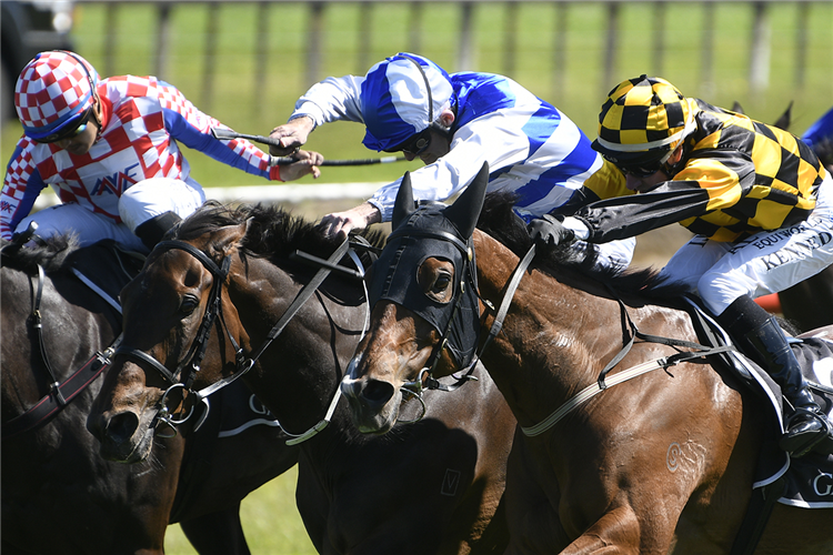 BELLA WATERS (outside) winning the GARTSHORE TAURANGA STAKES