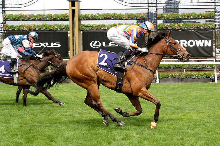 BELLATRIX STAR winning the Cap D'Antibes Stakes