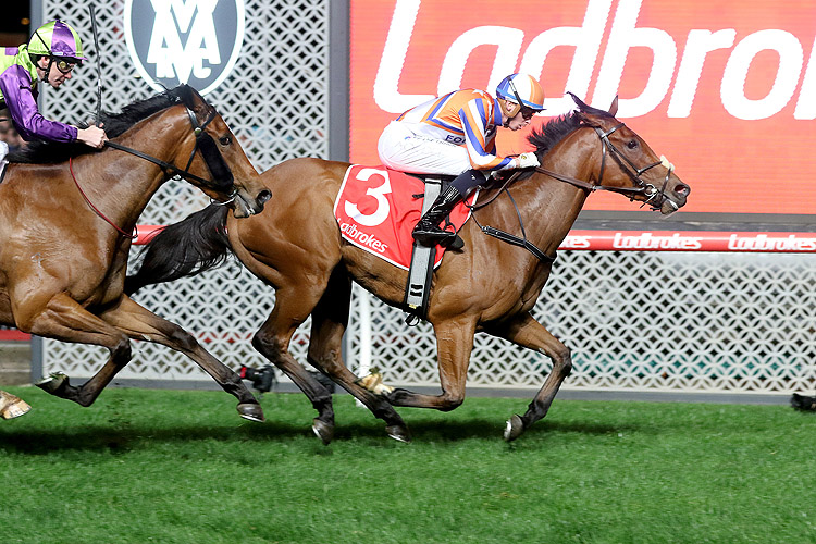 BELLATRIX STAR winning the Ladbrokes Scarborough Stakes