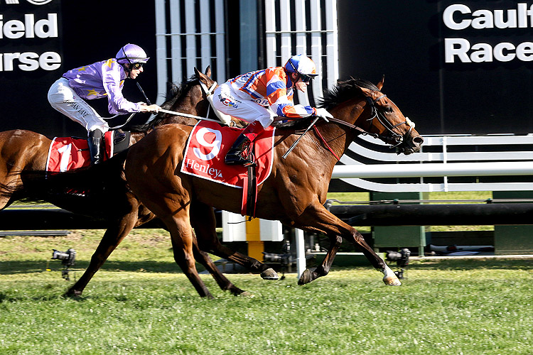 BELLATRIX STAR winning the Henley Homes Schillaci Stakes