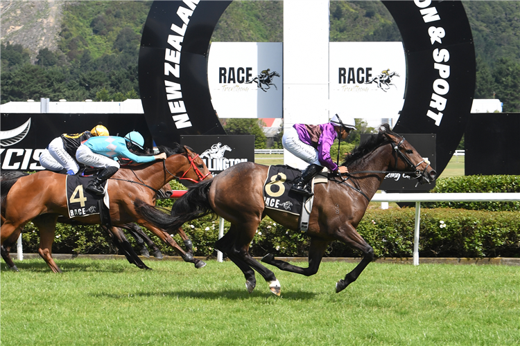 BELLE'S ECHO winning the BLUE STAR CHRISTMAS CUP