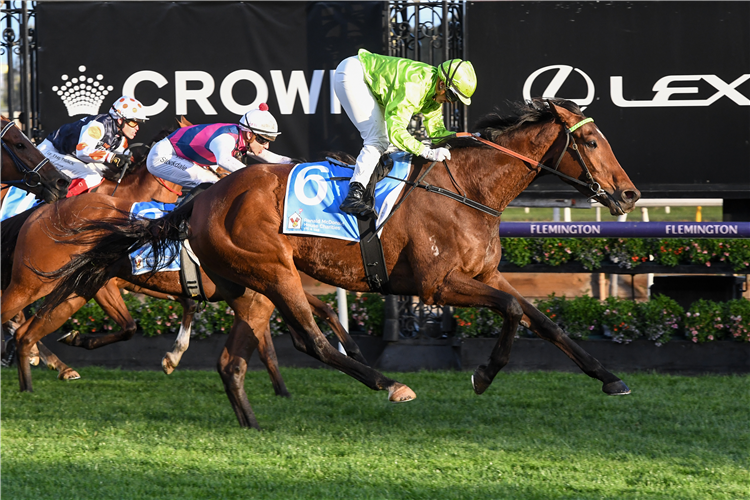 BERKELEY SQUARE winning the House Charities Trophy at Flemington in Australia.