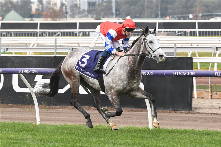 BERKSHIRE BREEZE winning the Banjo Paterson Series Final at Flemington in Australia.