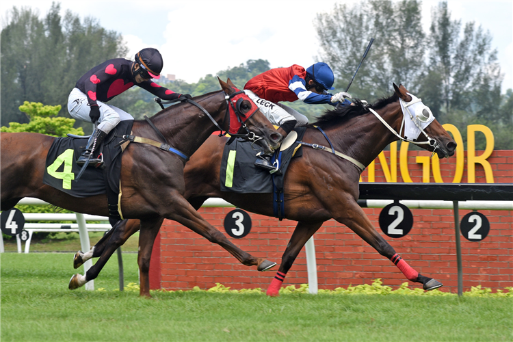 BERRY BLISS winning the Sep 22 2024 Selangor Meeting Race 4 (927)