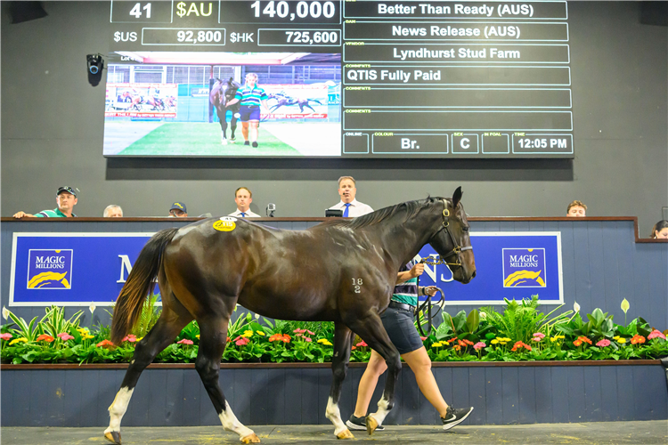 The $140,000 Better Than Ready colt from the Gold Coast.