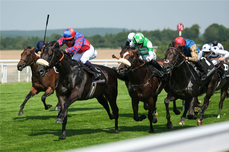 BIG MOJO winning the Molecomb Stakes at Goodwood in Chichester, England.