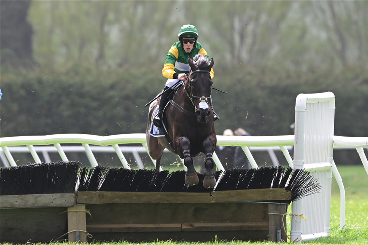 BILLY BOY winning the PAT & THE LATE JOHN SHANNON