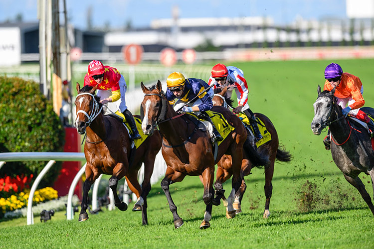 BITTERCREEK winning the SPIRIT OF BOOM CLASSIC