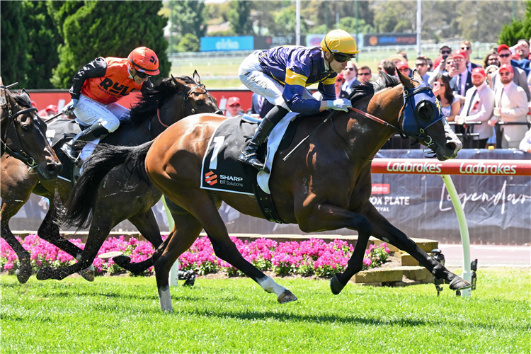 BITTERCREEK winning the Red Anchor Stakes at Moonee Valley in Australia.