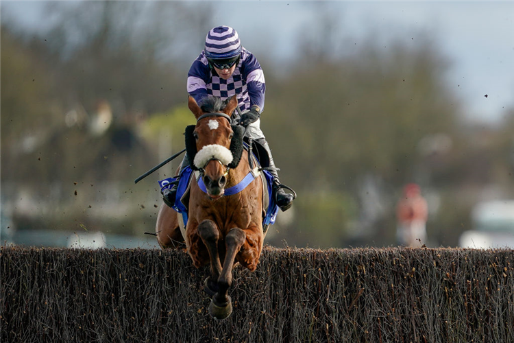 BLOW YOUR WAD winning the Pendil Novices' Chase at Kempton Park in Sunbury, England.