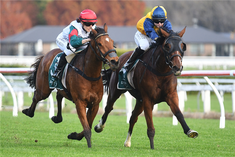 BLUE SKY AT NIGHT (inside) winning the PGG WRIGHTSON GRAIN