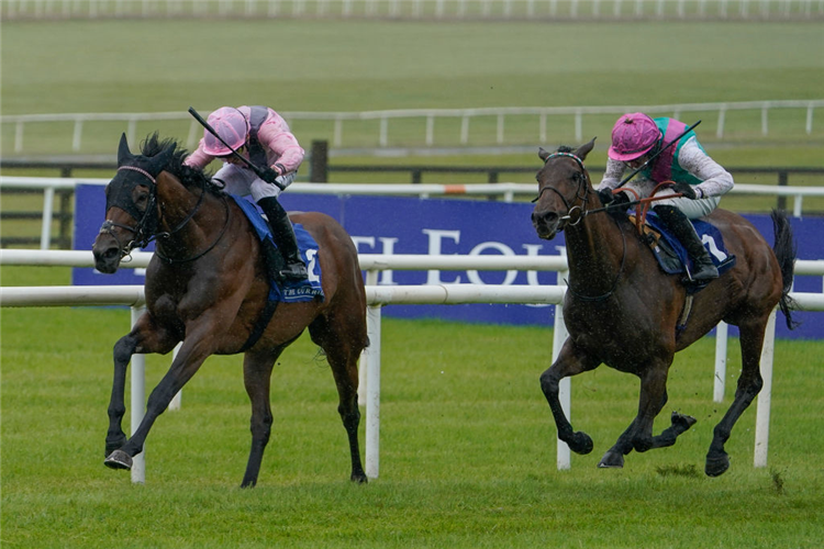 BLUESTOCKING (right, pink/green silks) winning the Pretty Polly Stakes at Curragh in Kildare, Ireland.