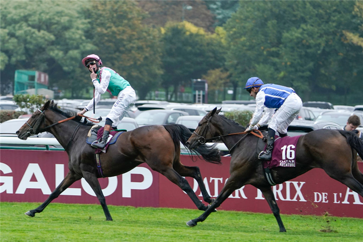 BLUESTOCKING winning the Prix de l'Arc de Triomphe at Hippodrome de ParisLongchamp in Paris, France.