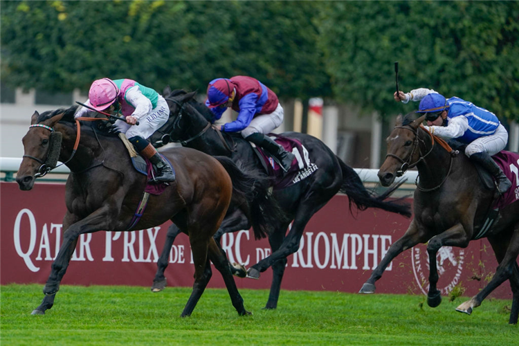 BLUESTOCKING winning the Prix de l'Arc de Triomphe at Hippodrome de ParisLongchamp in Paris, France.