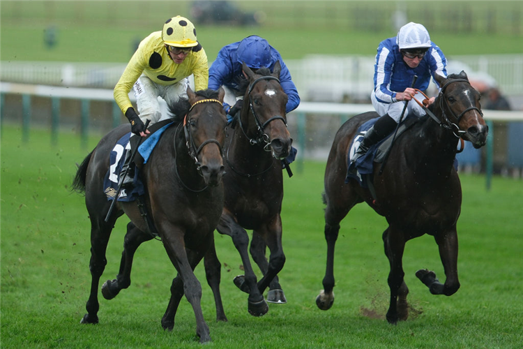 BOILING POINT (yellow silks) winning the King Charles II Stakes at Newmarket in England.