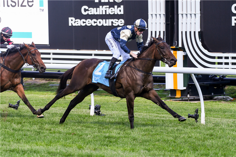 BOLD BASTILLE winning the Redoute's Choice Stakes at Caulfield in Australia.