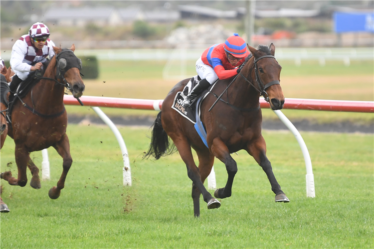 BOLD BELLE winning the HAPPY 80TH BIRTHDAY GARRY CHITTICK