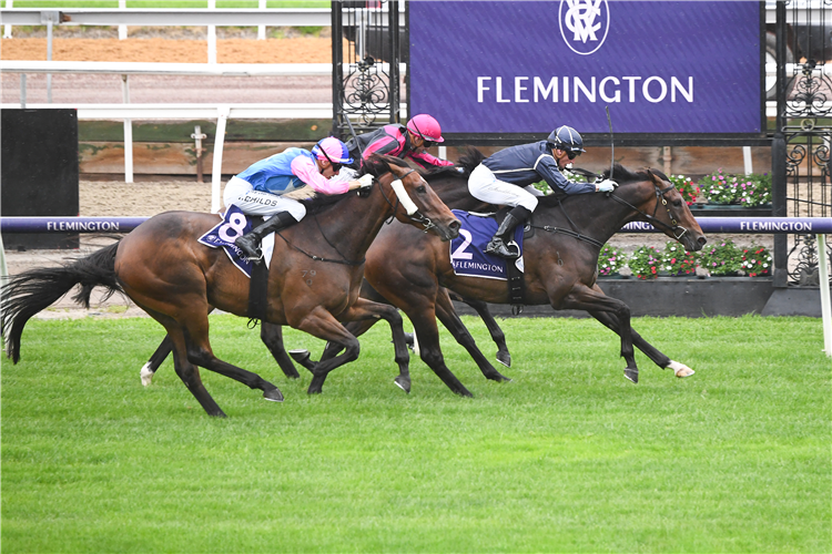 BOLD SOUL winning the Stud and Stable Staff Awards at Flemington in Australia.