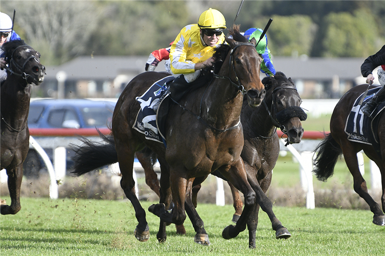 BONNY LASS winning the WAIKATO STUD FOXBRIDGE PLATE