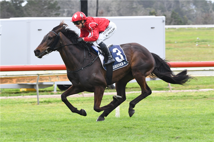 BOSCH winning the HARCOURTS TAI TOKERAU CUP