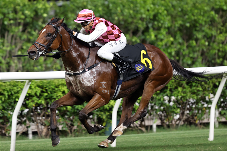 BRAVE STAR winning the ISLAND HANDICAP