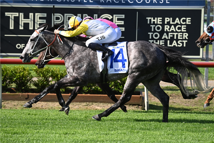 BRIASA winning the THE NEWCASTLE HERALD HUNTER at Newcastle in Australia.