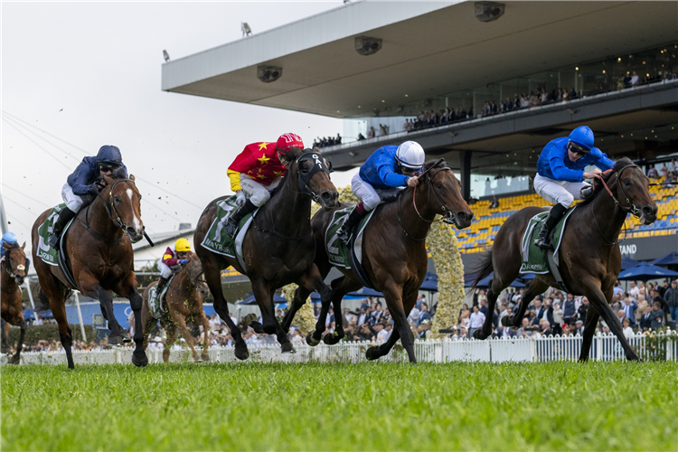 BROADSIDING winning the JAMES SQUIRE GOLDEN ROSE at Rosehill in Australia.