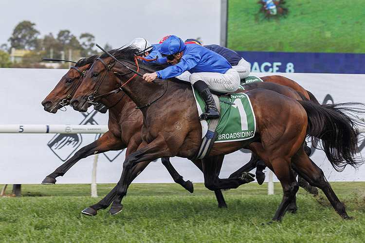 BROADSIDING winning the JAMES SQUIRE GOLDEN ROSE