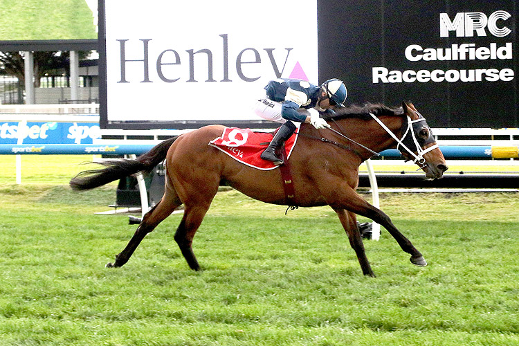 BUCKAROO winning the Henley Homes Underwood Stakes