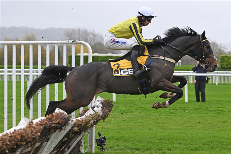 BURDETT ROAD. (Credit: Healy Racing)