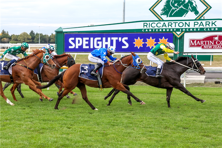 BURGIE winning the VALACHI DOWNS SOUTH ISLAND THOROUGHBRED BREEDERS STAKES