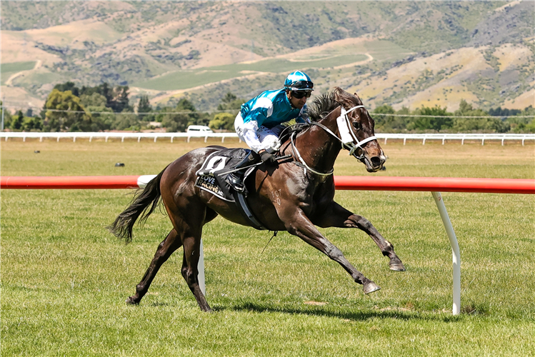 CAFFEINATED winning the PROPERTY BROKERS- RAY KEAN RATING 65 2030M