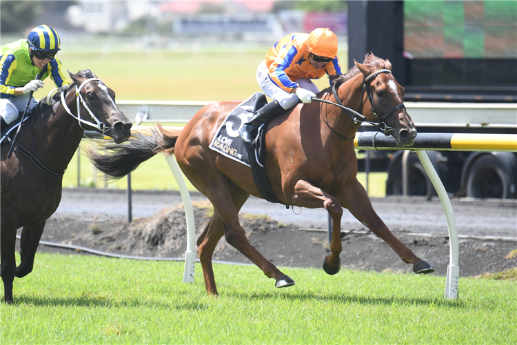 CAPTURED BY LOVE winning the PLATINUM HOMES NEW PLYMOUTH TARANAKI 2YO CLASSIC