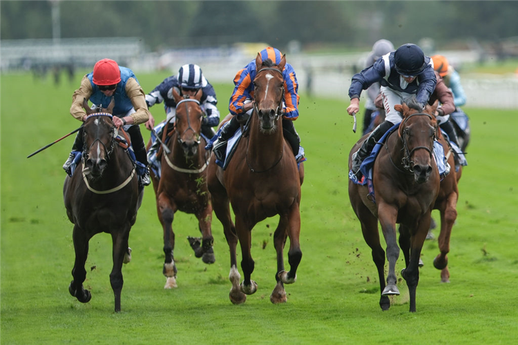 CELANDINE (right, blue cap) winning the Lowther Stakes at York in England.