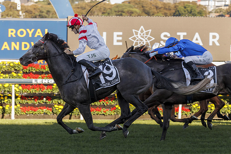 CELESTIAL LEGEND winning the THE STAR DONCASTER MILE