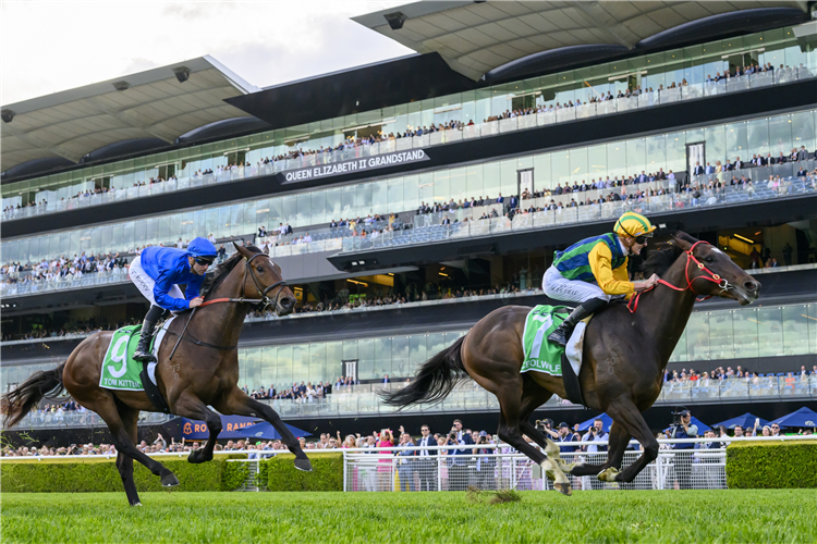 CEOLWULF winning the Epsom Handicap at Randwick