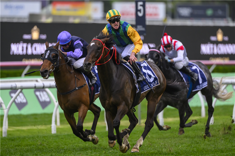 King Charles Iii Stakes Past Winners Results Australia Racing