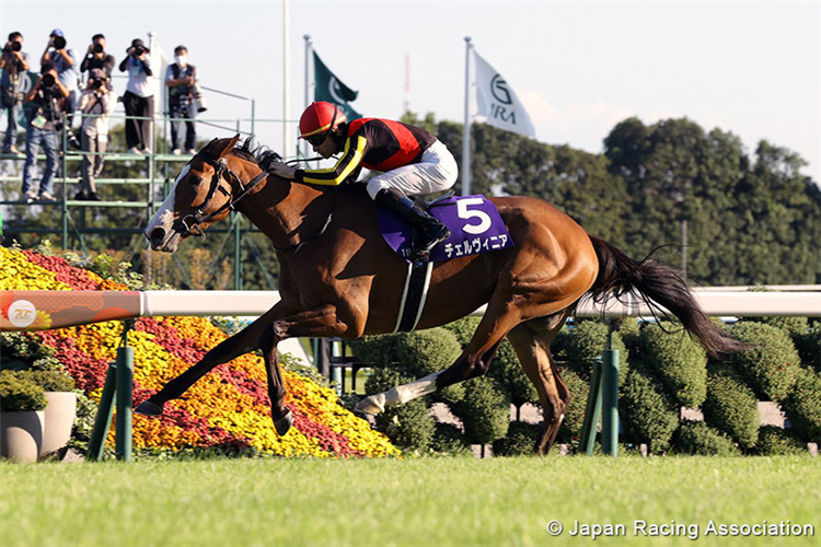 CERVINIA winning the Shuka Sho at Kyoto in Japan.