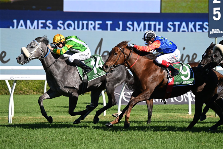 CHAIN OF LIGHTNING winning the TJ Smith Stakes at Randwick in Australia.